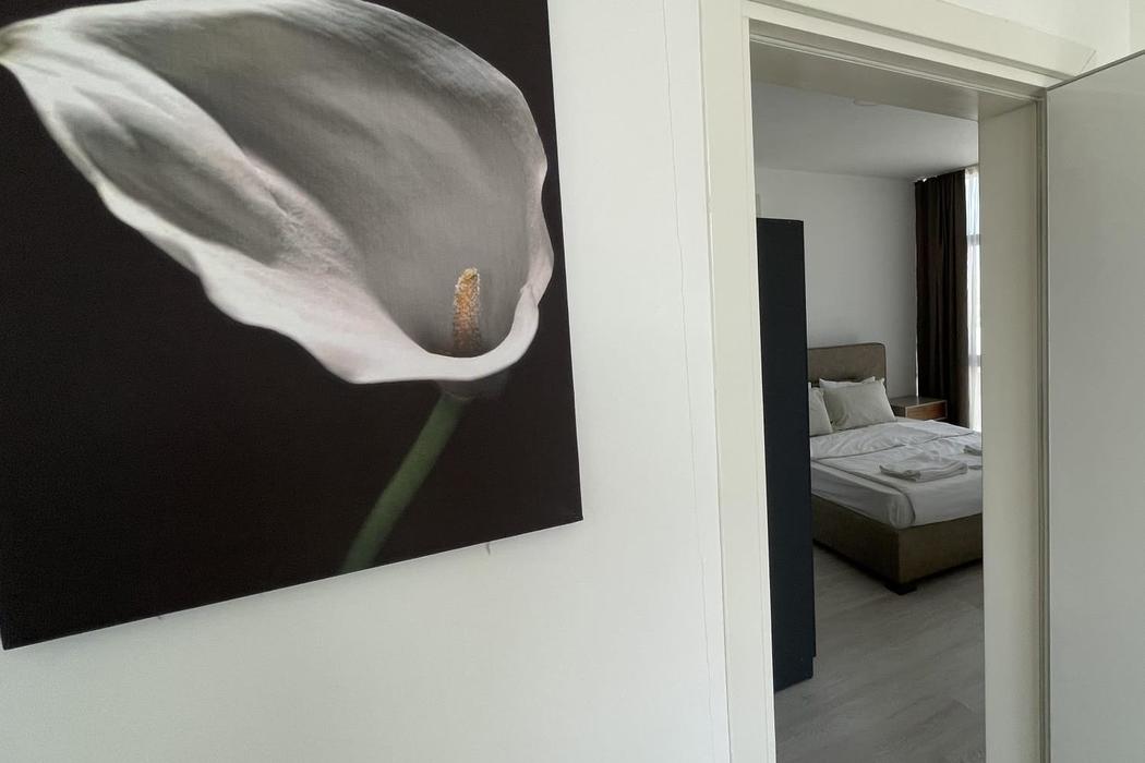 ALYA ROOMS