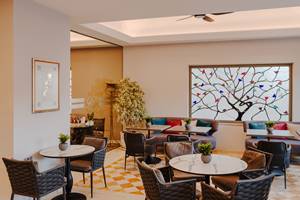 THE ARKIN COLONY HOTEL & CASINO
